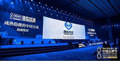 十年回首，中國光伏品牌的全球領導力之路